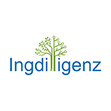 Ingdilligenz